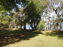 Lake Bradford at FSU Reservation