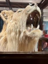 2024 St. Augustine Trip