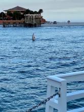 2024 St. Augustine Trip